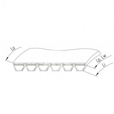 Belt Deutz Fahr 01145465 Gates Agri 1