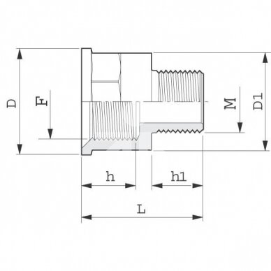 PERĖJIMAS 2452079/8059403 M+F sriegis G2+G3 2